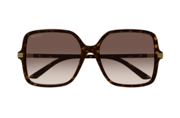 Captura de pantalla 2025-01-04 154242