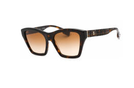 Diseño sin título (2)